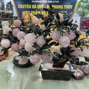 Cây đào tiên thạch anh hồng